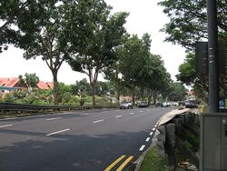 Bukit Timah Shopping Centre (D21), Retail #638287551